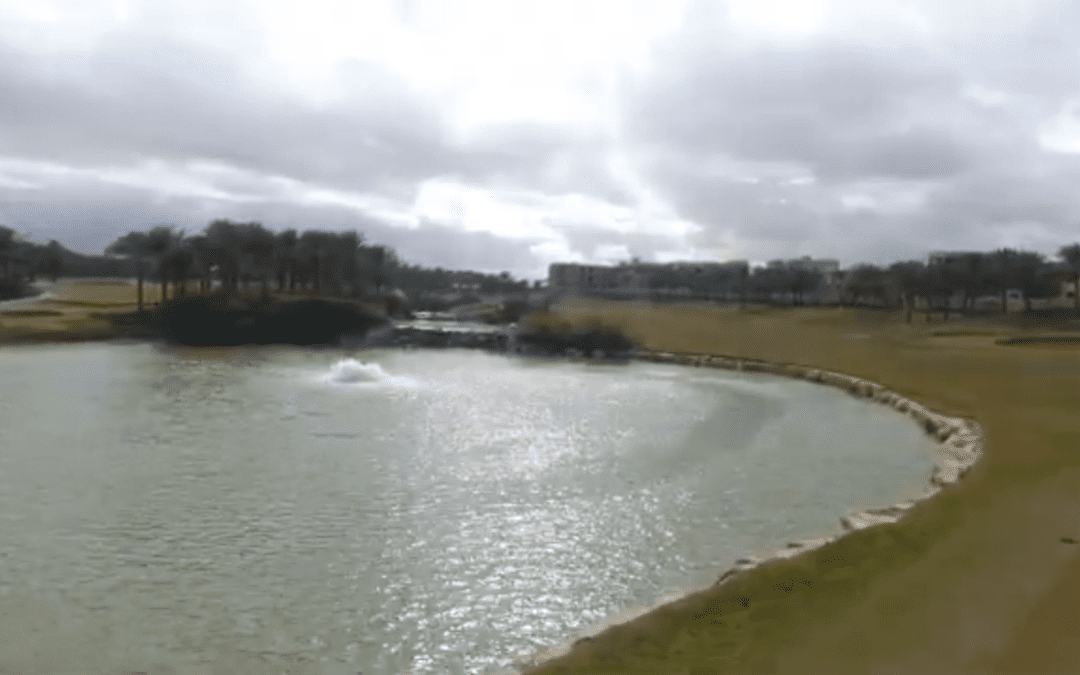 DJi_0005