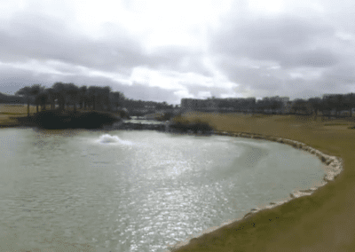 DJi_0005